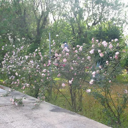 In Con Parco بورتو سيساريو